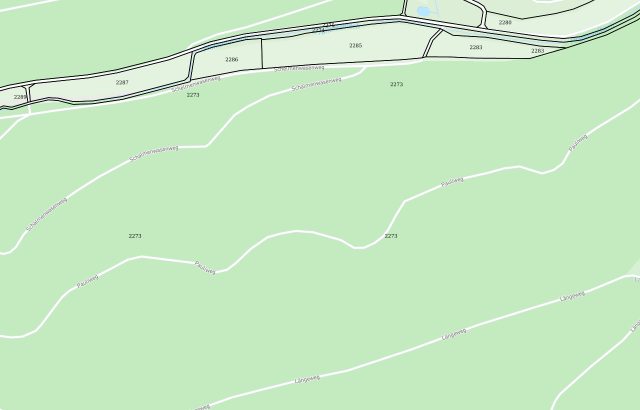 Flurkarte Geisingen