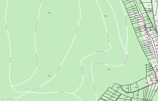Flurkarte Schönau