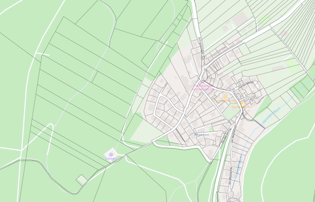 Flurkarte Altleiningen