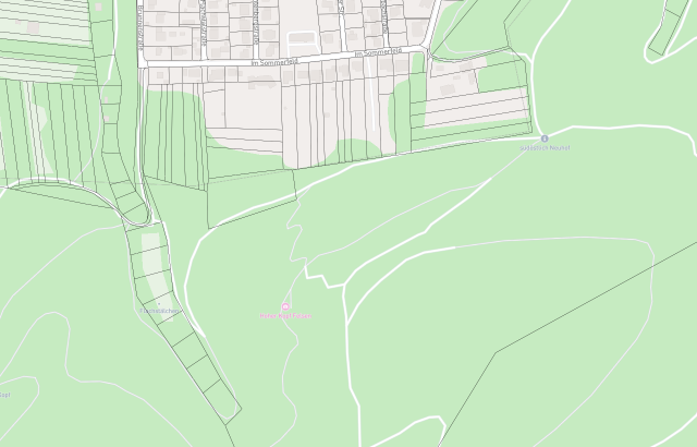 Flurkarte Pirmasens